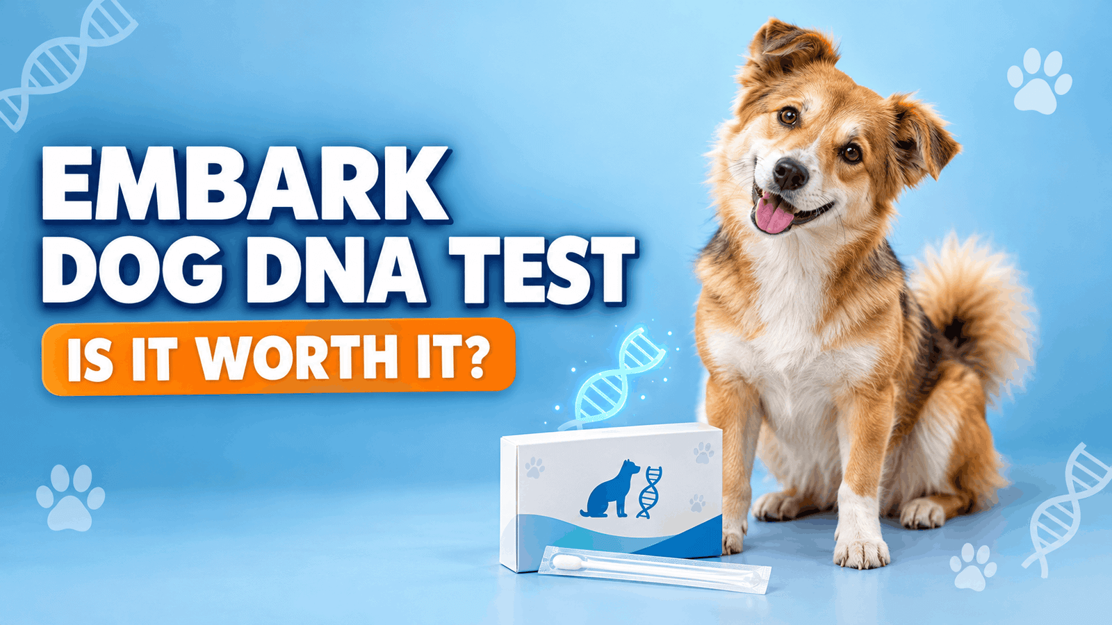 Embark Dog DNA Test